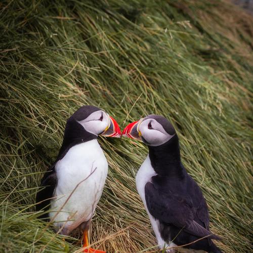 Preview Photographer\'s photo Дмитрий Иванов