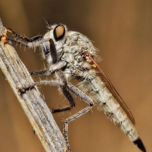 Превью фотографии фотографа Эдуард Ким