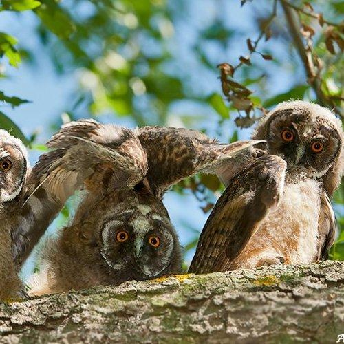 Preview Photographer\'s photo Андрей Алексеев