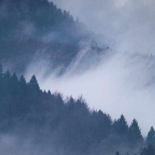 Превью фотографии фотографа Dzintra Zvagina