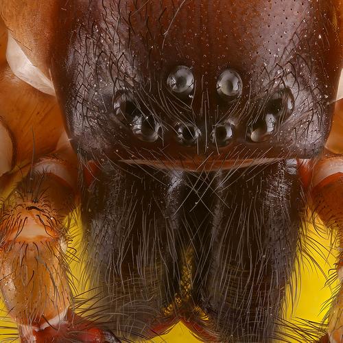 Preview Photographer\'s photo Борис Фотомания