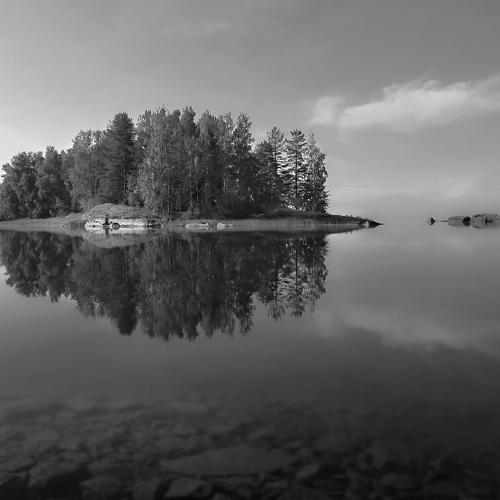 Превью фотографии фотографа Дмитрий Петухов