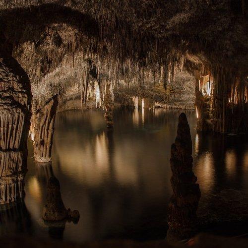 Превью фотографии фотографа Света и Вася