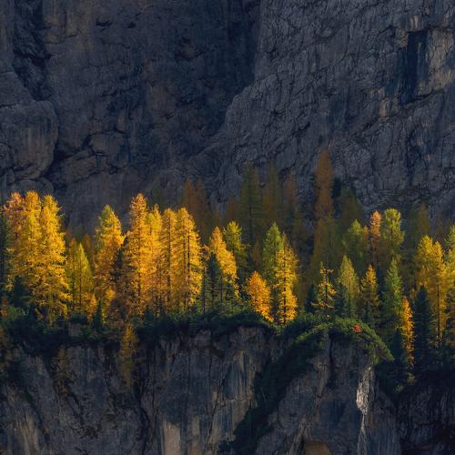 Preview Photographer\'s photo Гори Василий