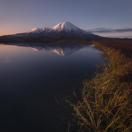 Превью фотографии фотографа Дмитрий Купрацевич