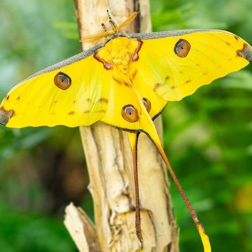 Превью фотографии фотографа Григорий Пожванов