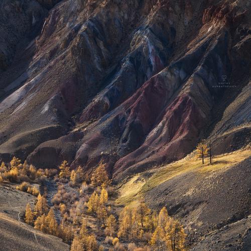 Превью фотографии фотографа Дмитрий Купрацевич