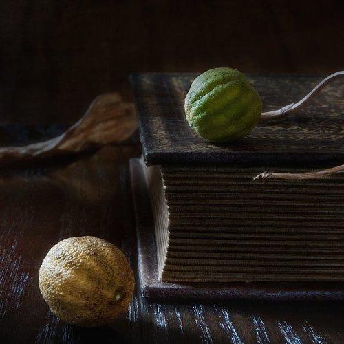 Preview Photographer\'s photo Юрий Юшваев