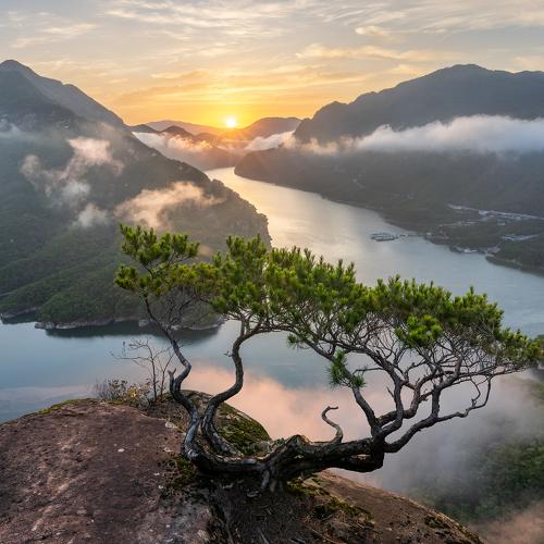 Preview Photographer\'s photo Jaeyoun Ryu