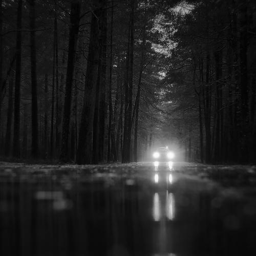 Превью фотографии фотографа Algan