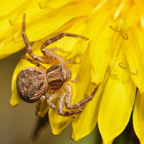 Preview Photographer\'s photo Эдуард Ким