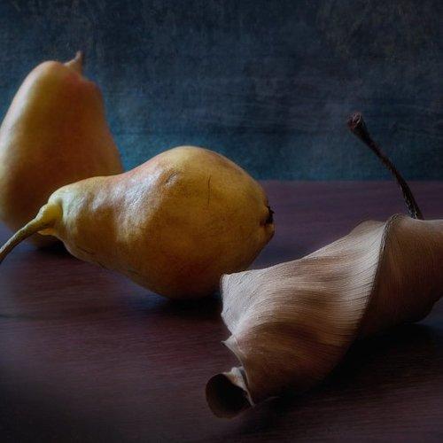 Превью фотографии фотографа Юрий Юшваев