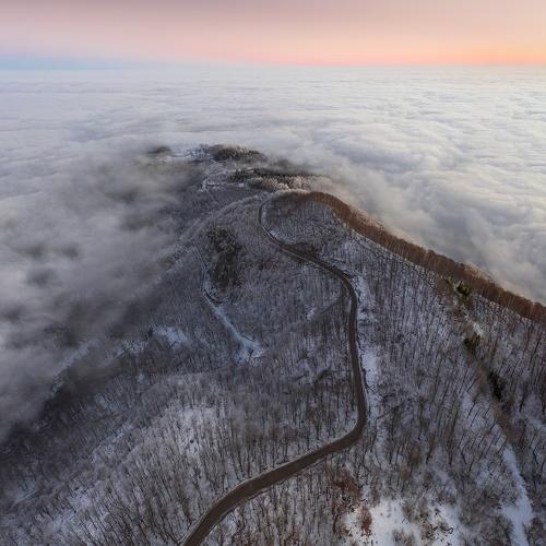Превью фотографии фотографа Петко Петков