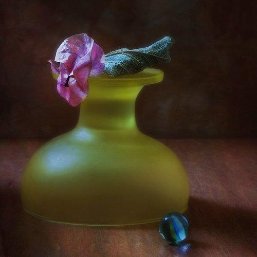 Превью фотографии фотографа Юрий Юшваев