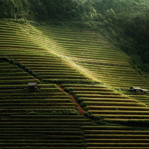 Preview Photographer\'s photo Trinh Xuan Hai