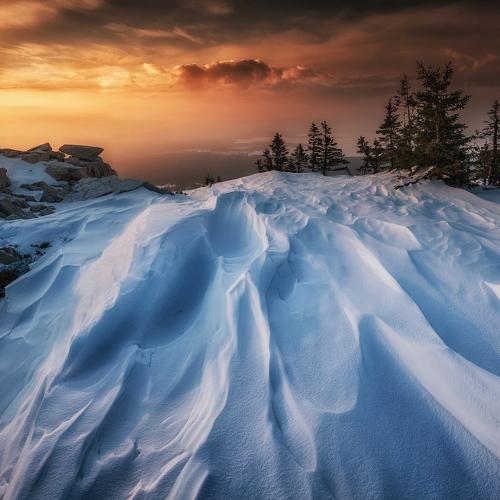 Превью фотографии фотографа Татьяна Бирюкова