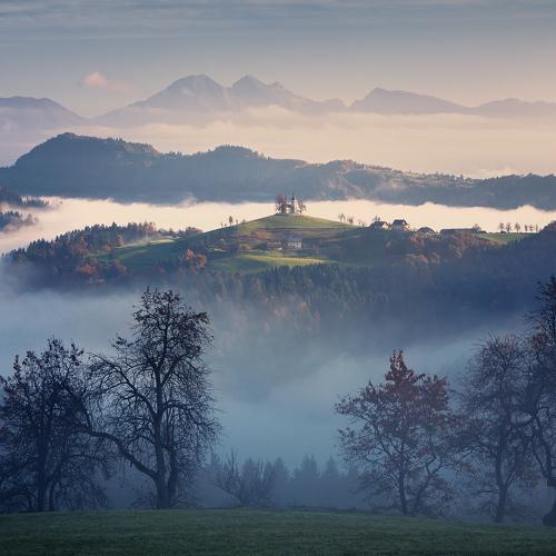 Превью фотографии фотографа Дмитрий Купрацевич