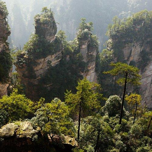 Превью фотографии фотографа Vladimir Trofimov