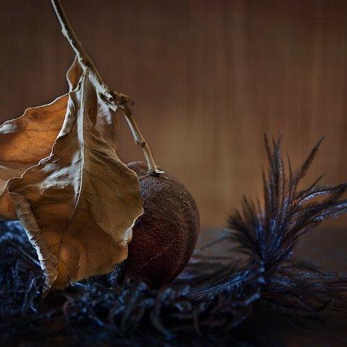 Preview Photographer\'s photo Юрий Юшваев