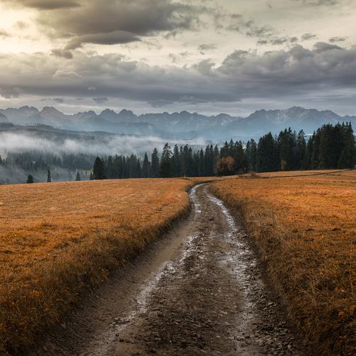 Превью фотографии фотографа Tomczak Michał