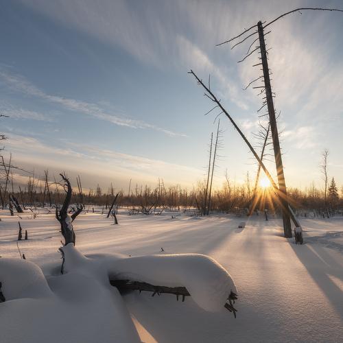 Превью фотографии фотографа Сергей Алтушкин
