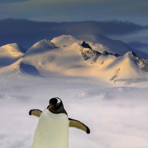 Превью фотографии фотографа George