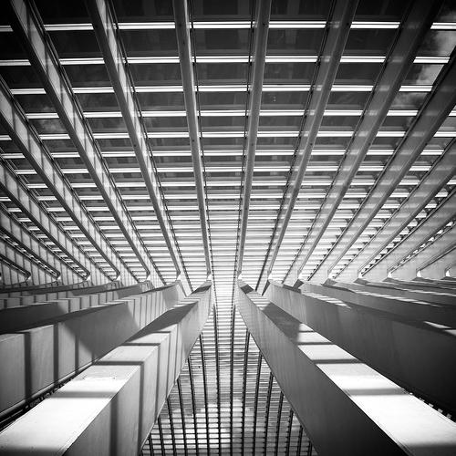 Preview Photographer\'s photo Eddie