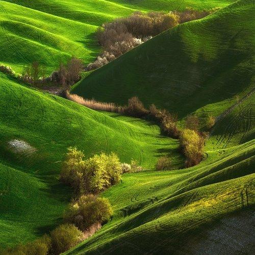 Preview Photographer\'s photo Jarek Pawlak