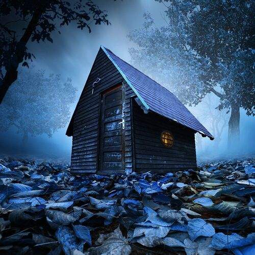 Preview Photographer\'s photo Caras Ionut