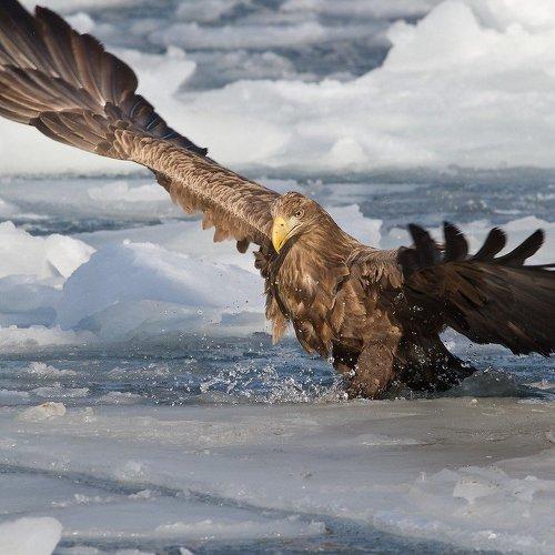 Превью фотографии фотографа Евгений Слободской