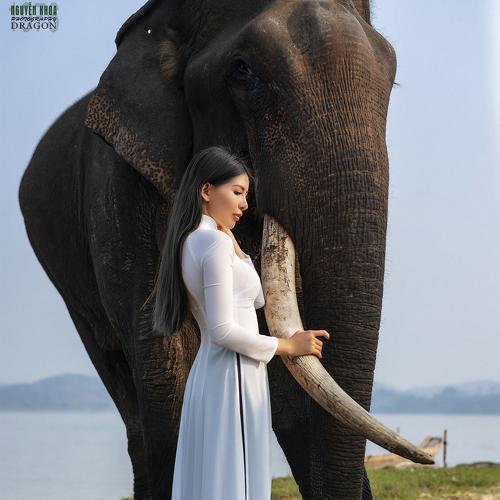 Preview Photographer\'s photo nguyenkhoa