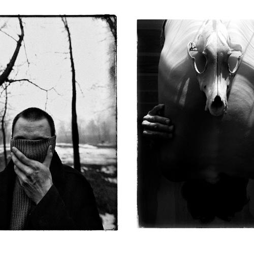 Превью фотографии фотографа Лолита Ташпулатова