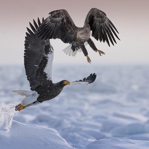 Preview Photographer\'s photo suk eun kim