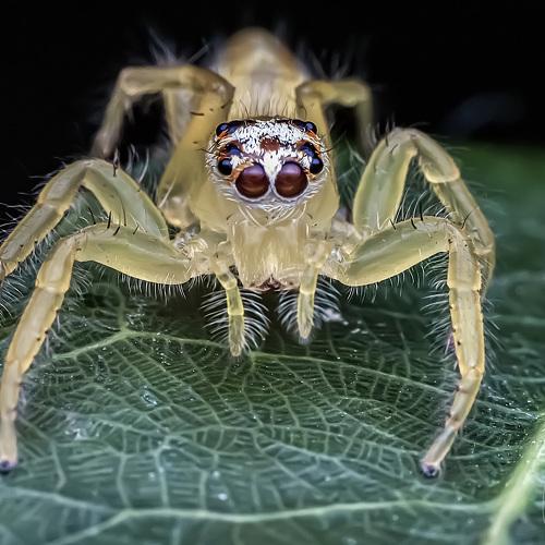 Preview Photographer\'s photo NeCoTi ChonTin