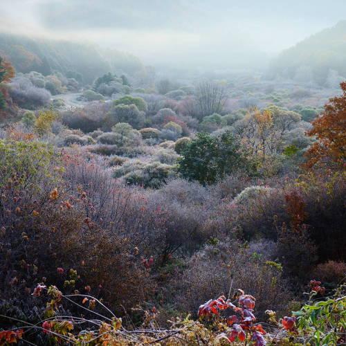 Preview Photographer\'s photo Shin