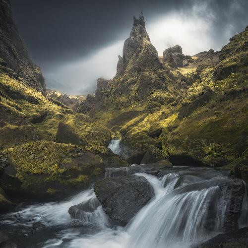 Preview Photographer\'s photo Roksolyana Hilevych