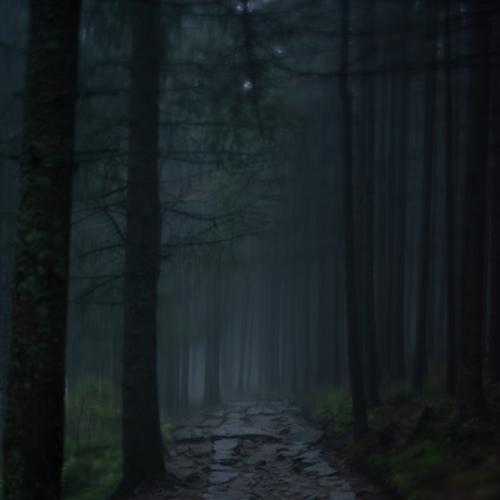 Preview Photographer\'s photo Kusy Mariusz