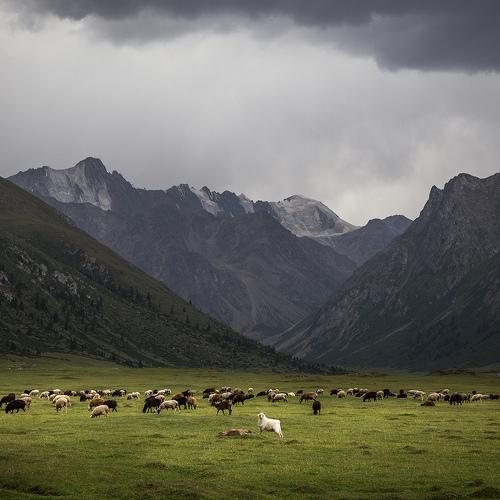 Preview Photographer\'s photo Василий Косивцов