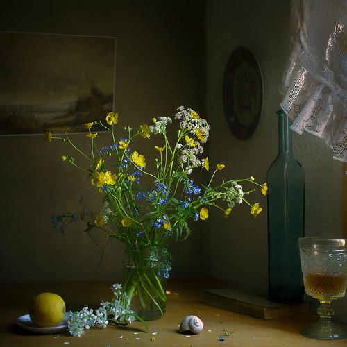 Превью фотографии фотографа Georg Stein