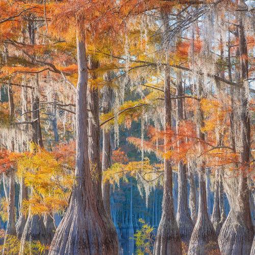 Preview Photographer\'s photo Alex Mironyuk