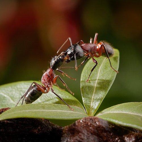 Preview Photographer\'s photo Helena Flykt