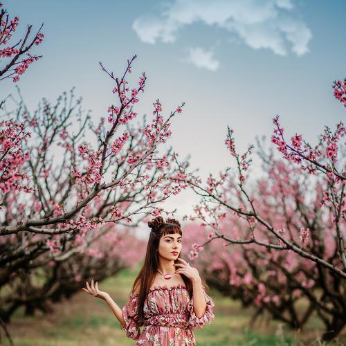 Preview Photographer\'s photo solomnishvili giorgi