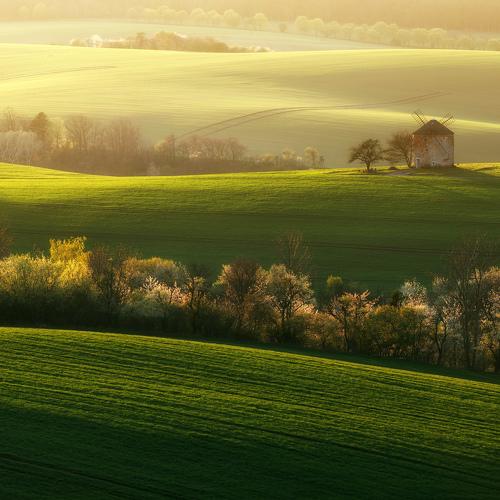 Превью фотографии фотографа Milan Samochin