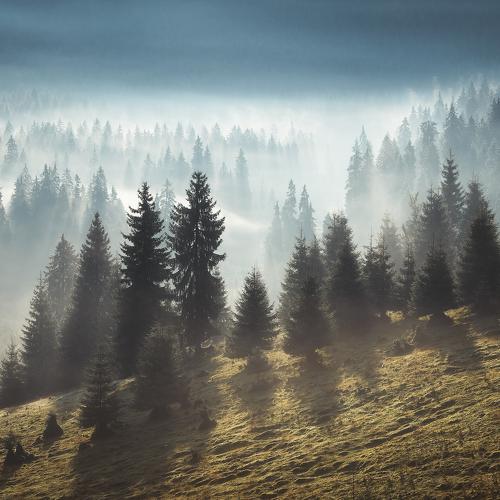 Превью фотографии фотографа Ростовский Антон