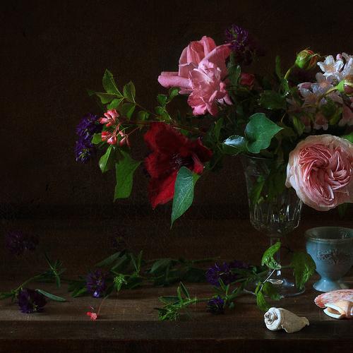 Preview Photographer\'s photo Рита Гончаренко