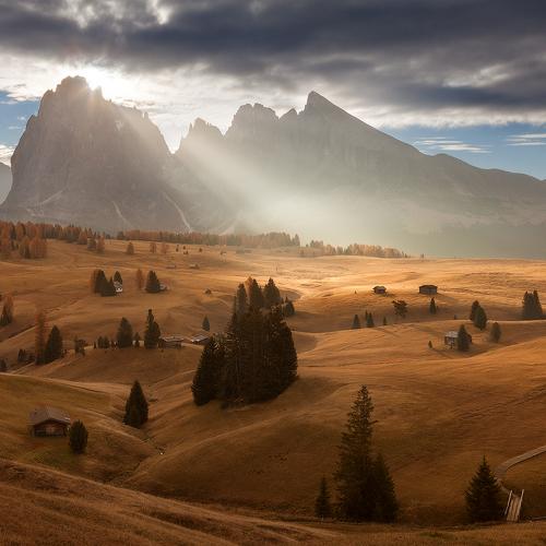 Превью фотографии фотографа Alex Yurko