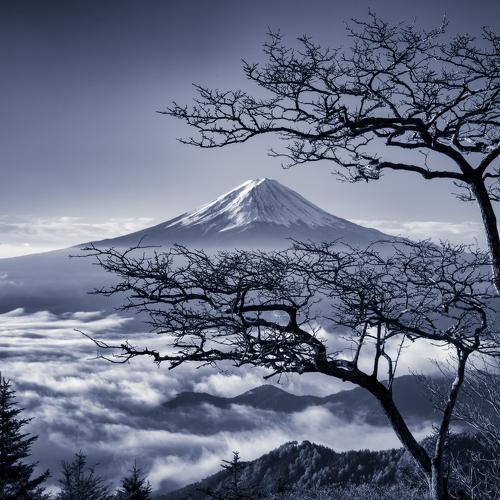 Preview Photographer\'s photo Takashi