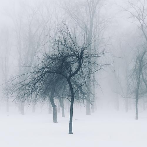 Preview Photographer\'s photo Анатолий Поятэ