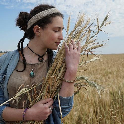 Превью фотографии фотографа Rodi Almog