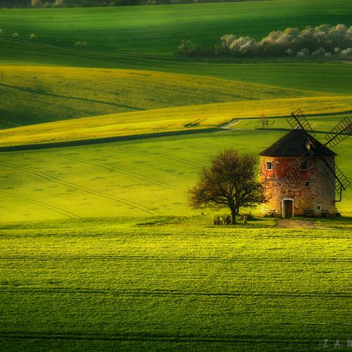 Превью фотографии фотографа  Zanfoar